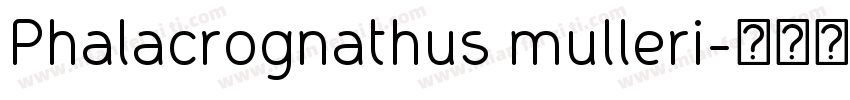 Phalacrognathus mulleri字体转换